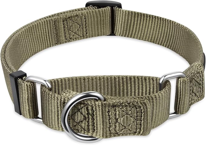 Hyhug Martingale Collar for Dogs Large Green |Escape - Proof Heavy Duty Nylon Durable No Pull, Ideal for Training & Daily Walks