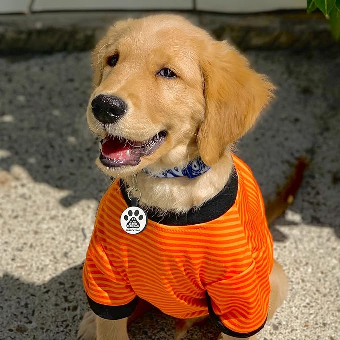 MYLUCKYTAG QR Code Silicone Pet ID Tag Dog Cat Tag, Online Pet Profile, Pet Location Alert Email, Digital Pet Tag, Quiet Dog Tag, Durable Pet ID, Dog Collar Tag, Engraved Pet Tag