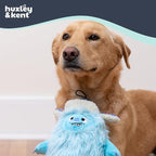 Huxley & Kent Funny Dog Toy w/Squeaker – Holiday Power Plush Squeaky Dog Toys for Small, Medium & Large Dogs – Soft Stuffed Animal for Indoor Play & Fetch - Everest Shaggy Yeti, Small