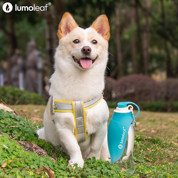 LumoLeaf Dog Water Bottle for Walking, Portable Pet Water Dispenser with Foldable Leaf Bowl – Lightweight Travel Bottle for Small & Medium Dogs, 20 fl oz