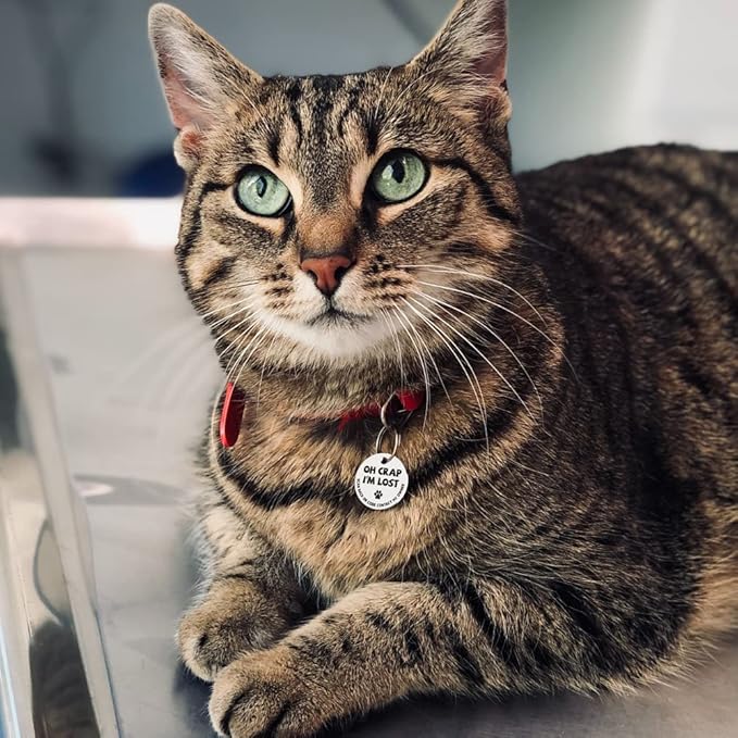 MYLUCKYTAG Stainless Steel QR Code Cat Tags - Pet Online Profile - Scan QR, Receive Instant Pet Location Alert Email