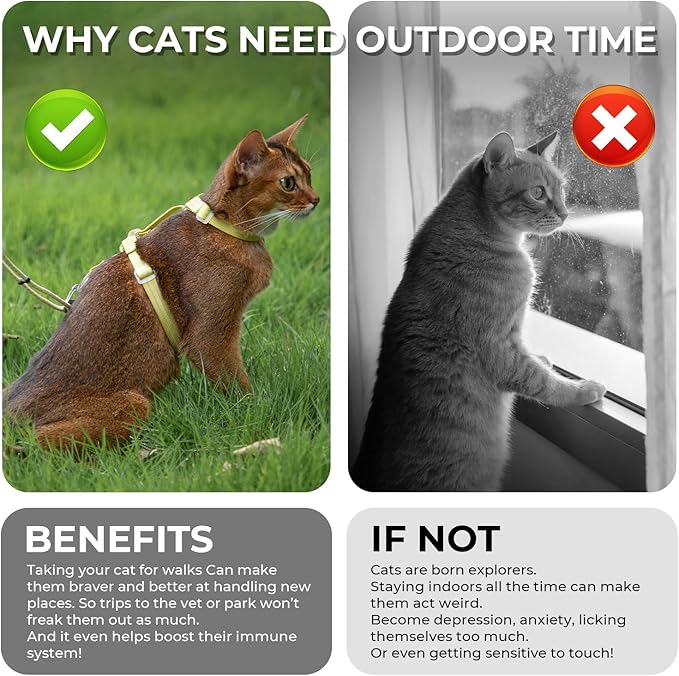 Cat Harness and Leash Set - Grey Lightweight Soft Kitten Harness Escape Proof, Adjustable Travel Pet Harness for Walking，Easy Control Comfortable Outdoor (Grey, One Size Fits All)