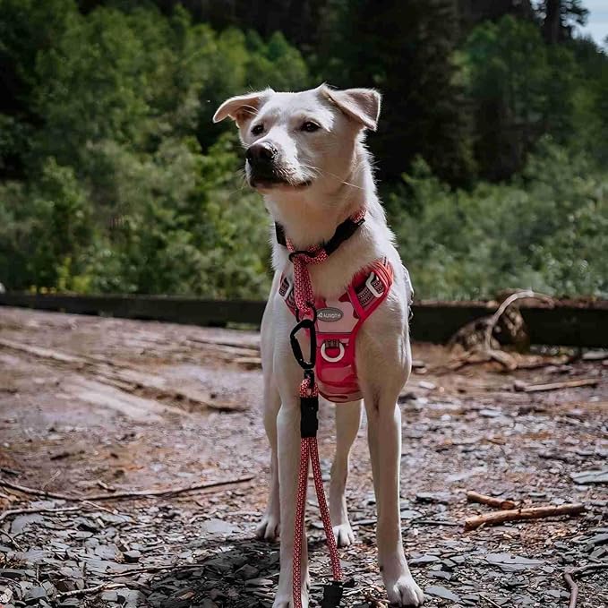 Auroth Tactical Dog Harness for Small Medium Large Dogs No Pull Adjustable Pet Harness Reflective K9 Working Training Easy Control Pet Vest Military Service Dog Harnesses Small, Pink Camo