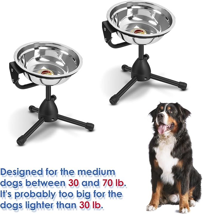 2 Pack Elevated Bowls With Adjustable Metal Stand, Medium Size for Dogs 30-70 lbs, 0.5 Gal 2 Liter, Stainless Steel Food Water Bowl, Height Adjustable Non-Slip Raised Set
