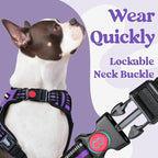 rabbitgoo Dog Harness for Large, No Pull Pet Harness with 3 Buckles, Adjustable Soft Padded Vest with Control Handle, Walking Reflective Pet Vest for Large Dogs, Purple, L