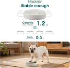 vancasso Slow Feeder Dog Bowl, 0.6 Cups Ceramic Dog Food Dish for Fast Eaters Small Breed, Puzzle Bowl for Small Dogs and Cats, Light Gray