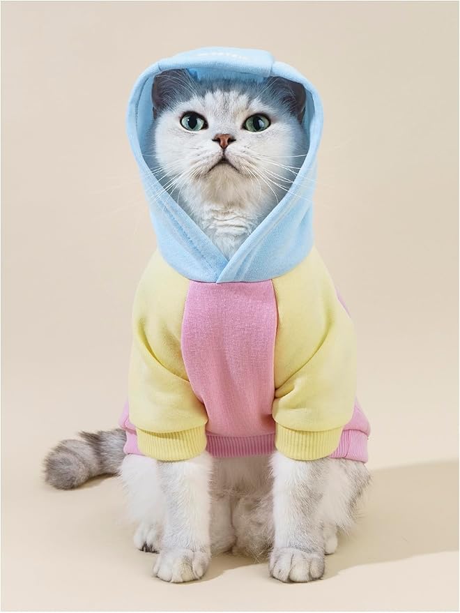 QWINEE Basic Dog Hoodie Sweatshirt Puppy Sweater Warm Cat Costumes Pet Clothes for Chihuahua Puppy Kitten Small Medium Dogs Pink X-Small