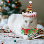 2Pcs Dog Shiny Christmas Hat and Tutu Collar Set, Pet Cats & Small Dogs Christmas Outfit Costume for Xmas Holiday Birthday Party