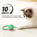 2025 New 1Pack Cat Ball Kitten Toys for Indoor Interactive Kitty Ball Toy Speedy Tail 360° Automatic Rolling(Green)