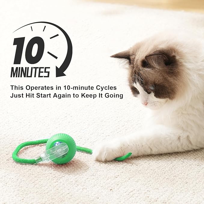 2025 New 1Pack Cat Ball Kitten Toys for Indoor Interactive Kitty Ball Toy Speedy Tail 360° Automatic Rolling(Green)