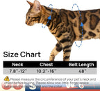 Cat Harness and Leash Set - Escape Proof Adjustable Cat Harness, Comfortable Soft Lightweight, Use Safe & Easy, Walking Travel Kitten Harness for Small Medium Large Cats (Trail 66 Blue)