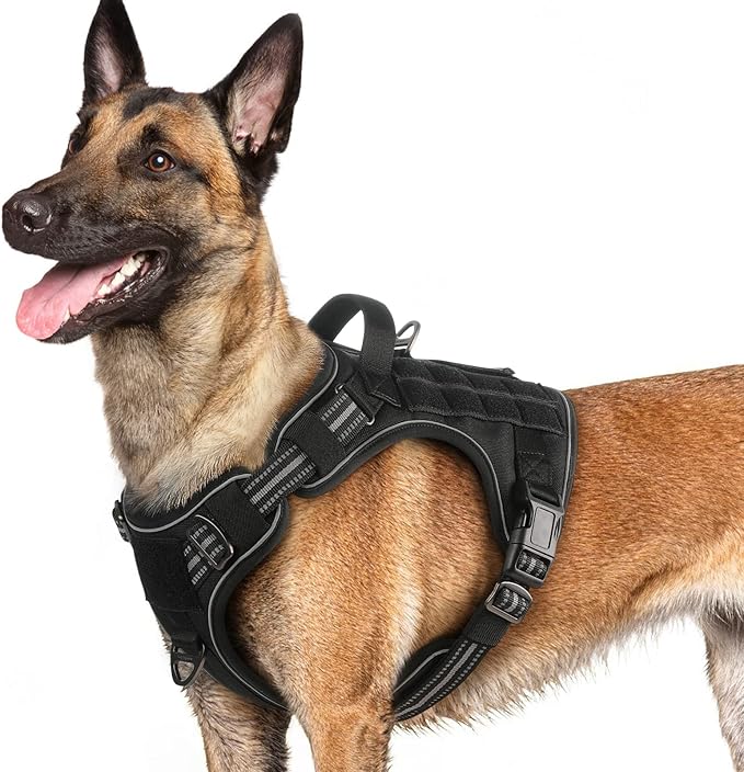 rabbitgoo Dog Harness for Large Dogs No Pull, Tactical Service Pet Vest with Molle and Control Handle, Adjustable and Reflective Military Harness for Easy Walking and Training, Black, L