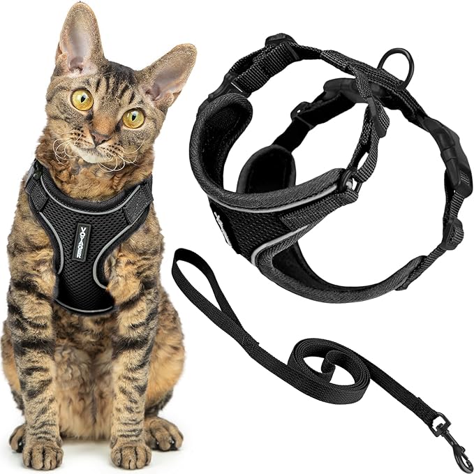 Voyager Escape-Proof Step-in Lock Cat Harness & 5ft Neoprene-Handle Leash Set All-Weather Mesh with Reflective Stitching for Small to Large Cats by Best Pet Supplies, Black (327), XS