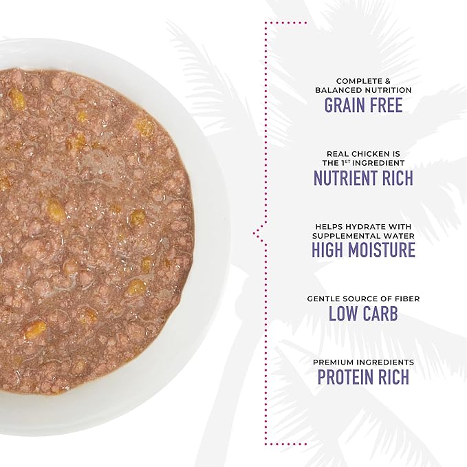 Tiki Cat Aloha Friends, Chicken, Pumpkin & Egg, Grain-Free & High Moisture, Wet Cat Food for All Life Stages 2.5 oz. Pouch (12 Count)