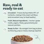 Little Hunter- Freeze Dried Dog Food Raw USDA Beef | for Small & Large Breeds | High Protein + Organic Fruits & Veggies Veterinarian Made Small Batch