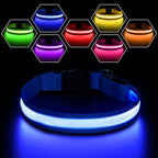 Pceotllar Light Up Dog Collar, Rechargeable Led with Automatic 7-Color Changes, Water Resistant for Night Walking, Bright Glow Collar (Blue, S)