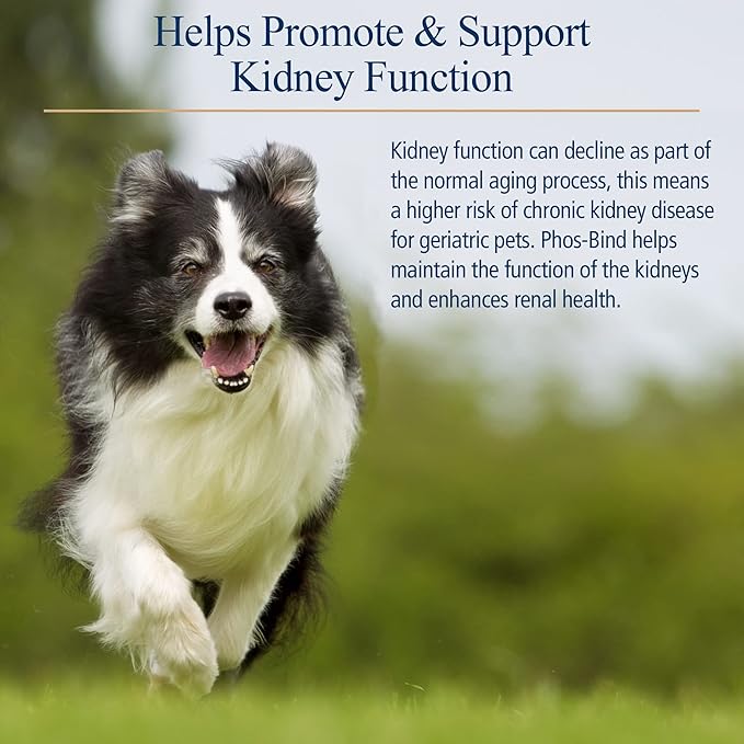 Rx Vitamins Phos-Bind - Kidney Support Supplement Powder - Phosphate Binder for Cats & Dogs for Kidney Health - Supports Normal Kidney Cleanse and Essential Kidney Care - 200g