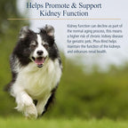 Rx Vitamins Phos-Bind - Kidney Support Supplement Powder - Phosphate Binder for Cats & Dogs for Kidney Health - Supports Normal Kidney Cleanse and Essential Kidney Care - 200g