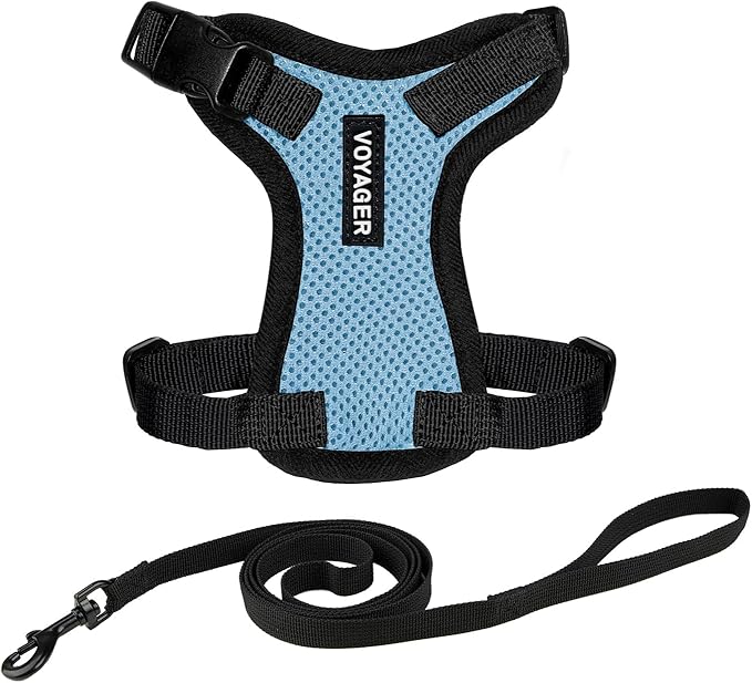 Voyager Escape-Proof Step-in Lock Cat Harness & 5ft Neoprene-Handle Leash Set All-Weather Mesh with Reflective Stitching for Small to Large Cats by Best Pet Supplies, Baby Blue/Black Trim, XXXS