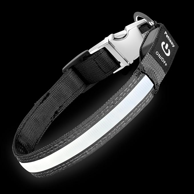 PetIsay LED Dog Collar Metal Buckle - Heavy Duty Light up Collars - Rechargeable IP68 Waterproof - Lighted Dog Collar for Night Walking, Hiking, Camping (Medium, White)