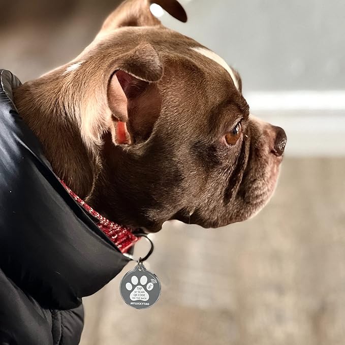 MYLUCKYTAG NFC & QR Code Smart Pet ID Tag Personalized Dog Cat Tag, Online Pet Profile, Pet Location Alert Email, Digital Pet Tag, Quiet Pet Tag, Durable Pet ID, Dog Collar Tag
