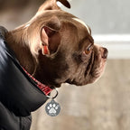 MYLUCKYTAG NFC & QR Code Smart Pet ID Tag Personalized Dog Cat Tag, Online Pet Profile, Pet Location Alert Email, Digital Pet Tag, Quiet Pet Tag, Durable Pet ID, Dog Collar Tag