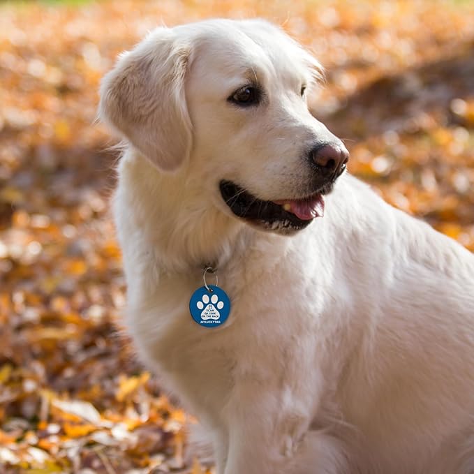 MYLUCKYTAG QR Code Stainless Steel Pet ID Tag - Personalized Online Profile, Location Alert Email, Digital and Durable Dog Collar Tag - Engraved