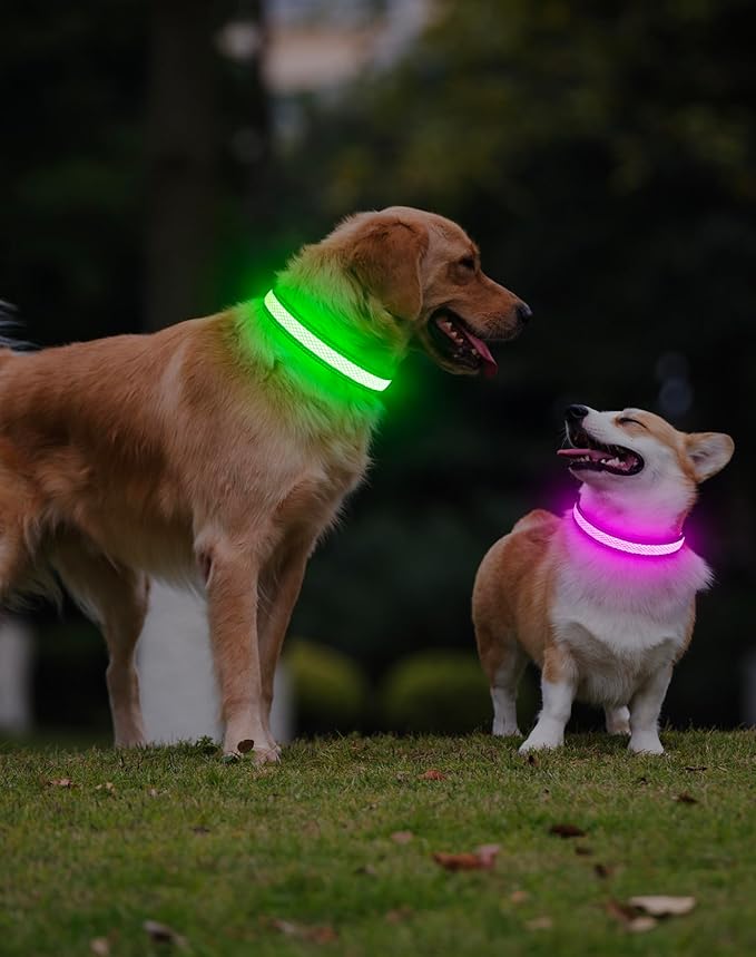 Weesiber Light Up Dog Collar, USB Rechargeable LED Dog Collar Glow in The Dark, Adjustable Reflective Waterproof Dog Collar Light for Night Walking(Pink, M)