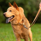 Hyhug Martingale Collar for Dogs Extra Large Clay |Escape - Proof Heavy Duty Nylon Durable No Pull, Ideal for Training & Daily Walks