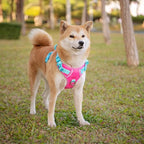 PHOEPET No Pull Dog Harness, Unique Colors Reflective Adjustable Dog Vest, with Soft Training Handle Metal Clips for Small Medium Large Dogs (Pink Base & Green Straps,L)