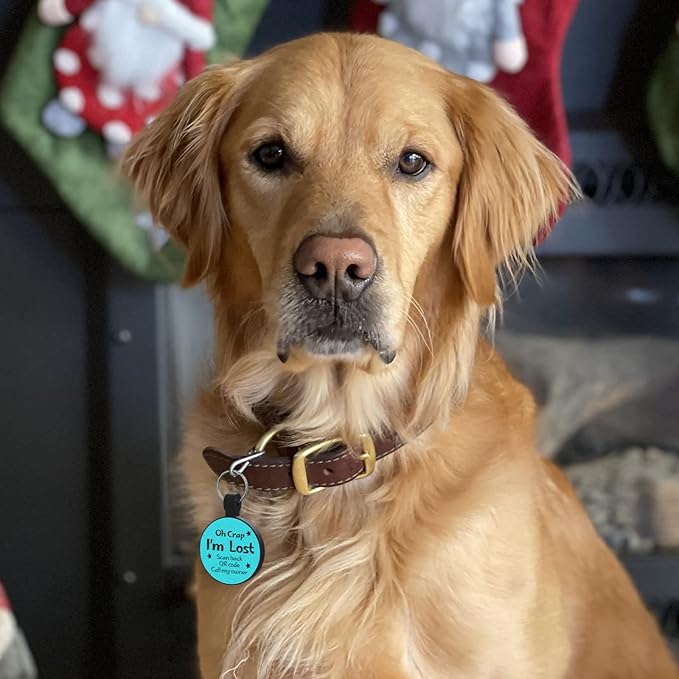 MYLUCKYTAG QR Code Pet ID Cat/Dog Tag - Quiet Engraved Silicone, Online Profile, Location Alert Email - Durable Digital Pet Tag for Dog Collar