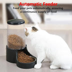 Automatic Cat Feeder, 3.8L Large Automatic Feeders with Detachable Top Lid, Visible Bottle and Stainless Steel Bowl for Cat, Dog and Pet (Black)