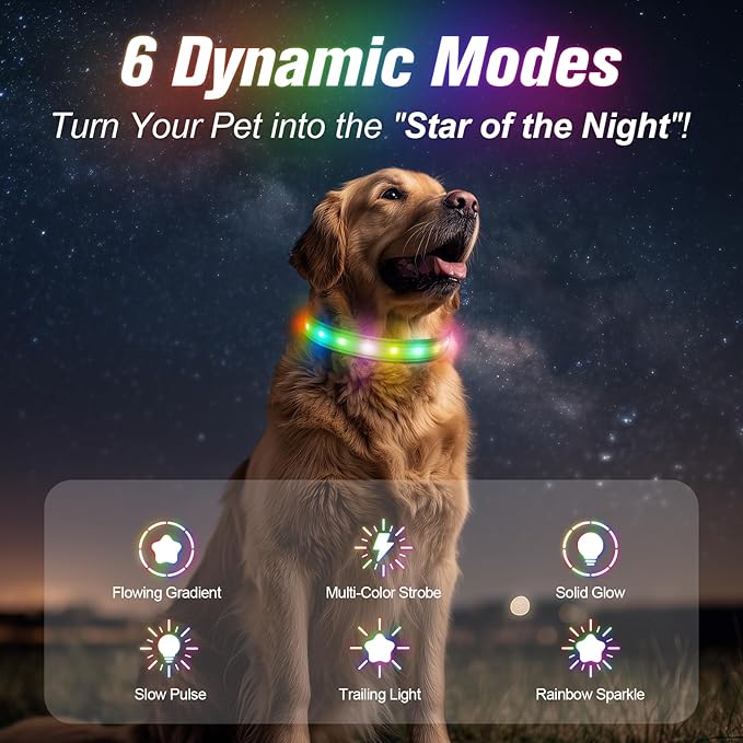LED Dog Collar, Light Up Dog Collar, USB Rechargeable - Brightest Dog Lights for Night Walking, 6 Light Modes, Adjustable for Dog Safety(Medium, Neon Green)
