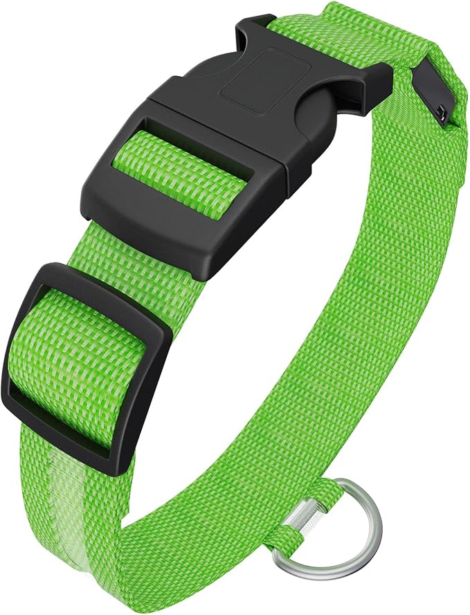 LED Light Up Dog Collar Rechargeable Waterproof, Glow in Dark Dog Collar, Lighted Dog Collars for Night Walking Charging USB, Safety for Small Medium Large Dogs (M, Green)