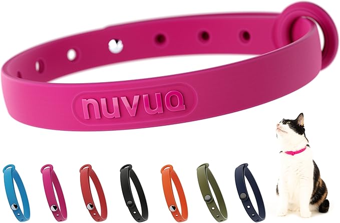 Breakaway Cat Collar - Soft, Comfortable, and Lightweight Safety Buckle Collar with Name Tag Ring for Outdoor Cats and Sensitive Skin Kittens by Nuvuq (6 ⅞" to 10 ¼", Pink)