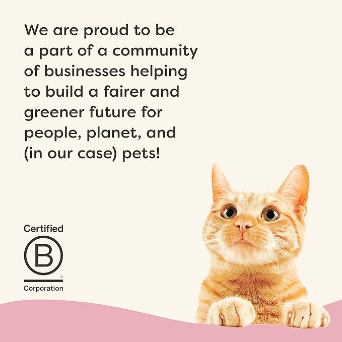 Applaws Vitality Wet Cat Food in Broth, Natural Canned Cat Food, Wet Food for Cats with Added Vitamins and Minerals, Grain and Carrageenan Free, Tuna Fillet & Shrimp in Broth (24 Count, 2.47 oz Cans)