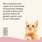 Applaws Vitality Wet Cat Food in Broth, Natural Canned Cat Food, Wet Food for Cats with Added Vitamins and Minerals, Grain and Carrageenan Free, Tuna Fillet & Shrimp in Broth (24 Count, 2.47 oz Cans)