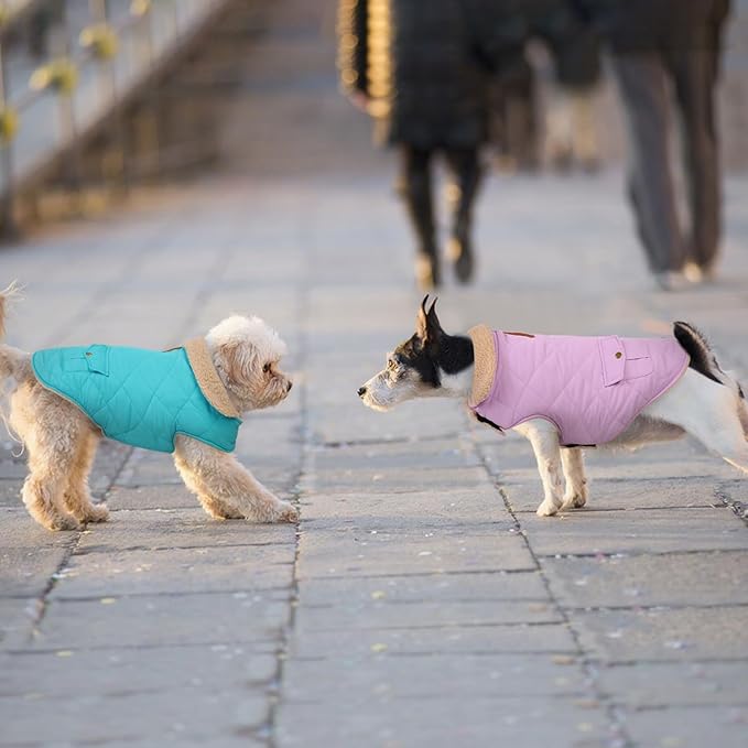 Winter Coat for Small Dogs, Puppy Plaid Jacket, Dog Jacket for Cold Weather, Windproof Warm Garments, Pets Thickened Outfits Indoor Outdoor, Blue S