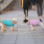 Dog Winter Coat for Small Dogs, Puppy Solid Jacket, Pet Warm Coat for Cold Weather, Windproof Pets Thickened Outfits Garments Indoor Outdoor, Blue XS