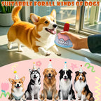 Dog Birthday Toy,No Stuffing Dog Toys for Puppy, Squeaky Plush Dog Toys for Large, Medium and Small Breeds, Balls Inside,Suitable Size Interactive Dog Toy for Indoor Outdoor Play