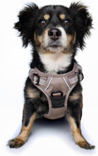 Doggie Design Venture Paw No Pull Dog Harness - Simple Adjustable Puppy Harness - Anti Pull Dog Collar for Walks and Outdoor Adventures - Dried Sage, S