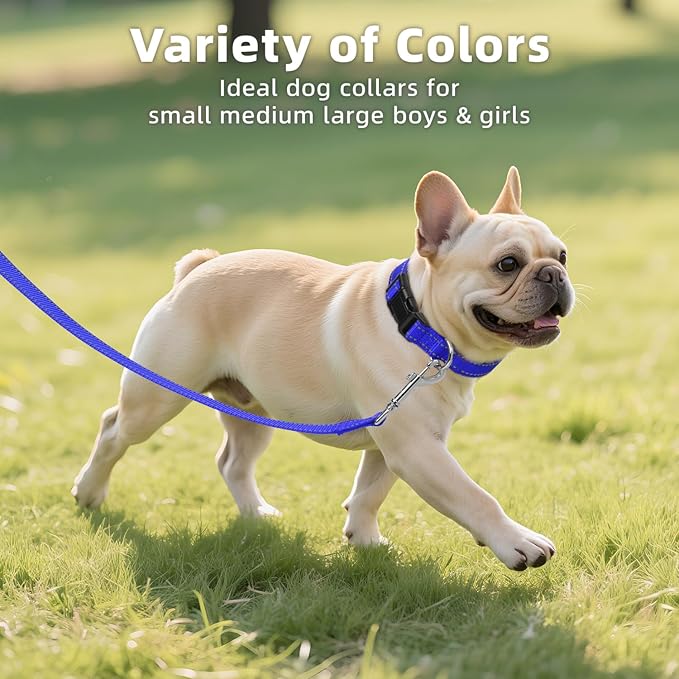 Reflective Dog Collar, Soft Neoprene Padded Nylon Pet Collar with Quick-Release Buckle, No-Choke Design Adjustable for Small Dogs,Navy Blue,S