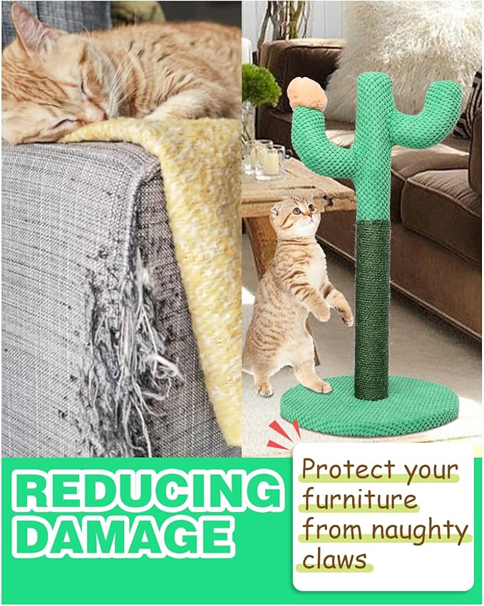 Bdor Cat Scratching Post, Cactus Cat Scratcher with Nature Sisal Rope for Indoor Adults Cats and Kitten, Resistant Carpet Scratch Post, Green