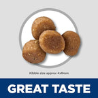 Hill's Science Diet Sensitive Stomach & Skin, Kitten, Stomach & Skin Sensitivity Support, Dry Cat Food, Salmon & Brown Rice, 6 lb Bag