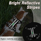 Cat Harness and Leash Set for Walking Escape Proof for Small Large cat Kitten Harness with ID tag Pocket (Black,XS)