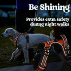 rabbitgoo Dog Harness Medium Sized, No Pull Pet Harness with 3 Buckles, Adjustable Soft Padded Vest with Control Handle, Walking Reflective Pet Vest for Medium Dogs, Orange, M