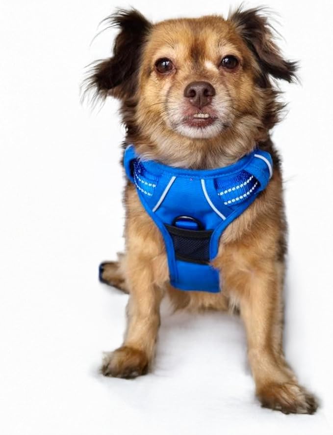 Doggie Design Venture Paw No Pull Dog Harness - Simple Adjustable Puppy Harness - Anti Pull Dog Collar for Walks and Outdoor Adventures - Mountain Lake, S