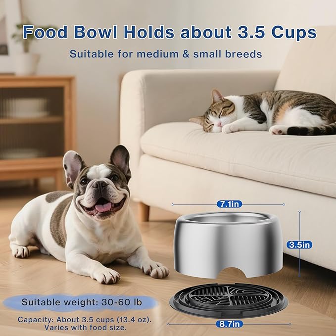 304 Stainless Steel Dog Bowls, Heavy Duty Dog Food Bowl with Extra Strong Non-Slip Mat, Thick Metal Base Water Bowl with Lick Mat for Small, Medium Dogs & Cats, Indoor/Outdoor (13.4 oz)