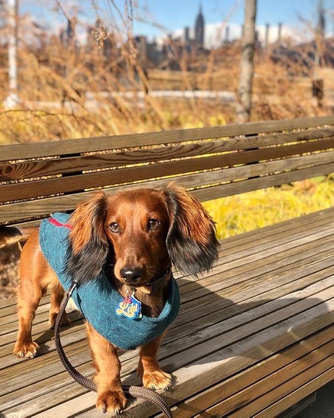 Gooby - Zip Up Fleece Vest, Fleece Jacket Sweater with Zipper Closure and Leash Ring, Gray Wash, Large