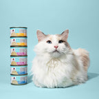 Weruva Wx Phos Focused, Chicken & Tilapia Formula in Gravy, 3oz Can (Pack of 12)